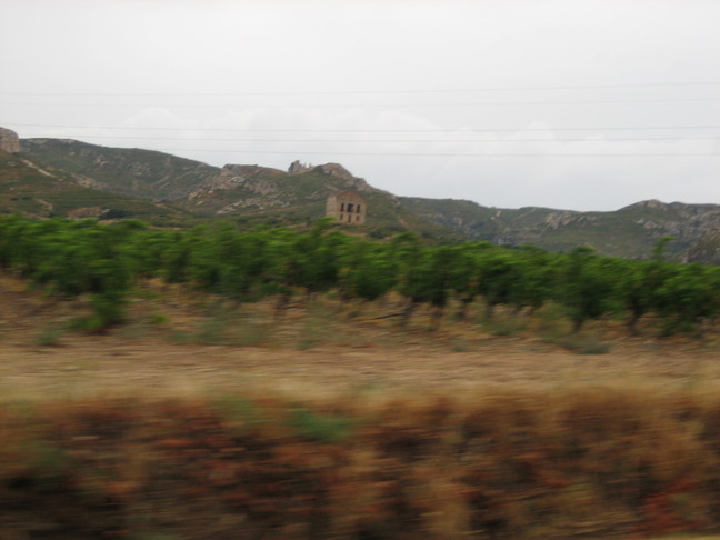 Hérault, Gard, Camargue et Aix en Provence. Traversée de la Camargue sous la pluie.