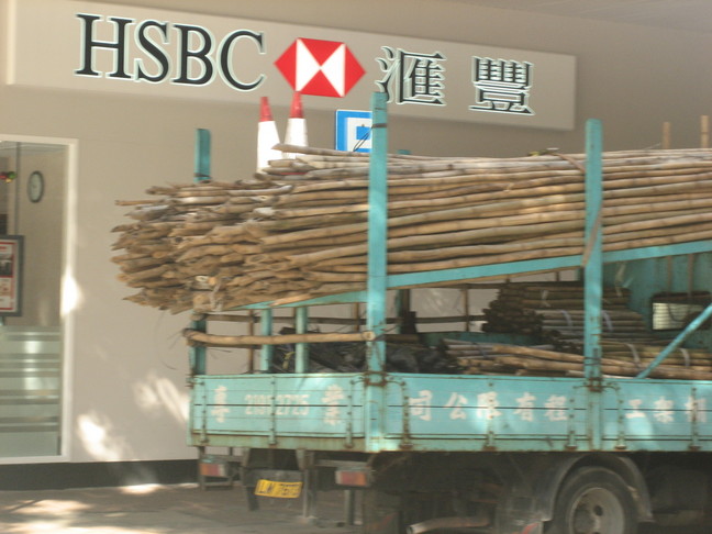 Beaucoup de bambous un peu partout : ils servent à faire des échaffaudages sur les immeubles en travaux. Voyage à Hong-Kong. Wan Chai et Causeway Bay.