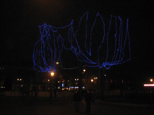 Arbres bleus sur la place de la République à Lille. Fêtes de fin d'année 2008. Réveillon de Noël.