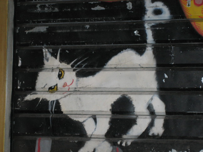 Un chat rigolo peint sur un store ! Des animaux. Aix en Provence.