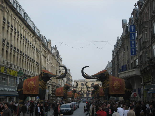 Les éléphants sur la rue Faidherbe. Bombaysers de Lille 3000. La parade.