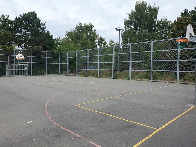 City stade, Lille sud - Arbrisseau